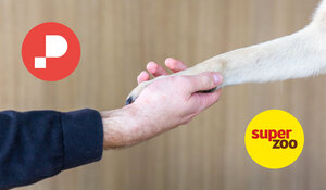 Zvítězili jsme v tendru na nový e-shop Super zoo